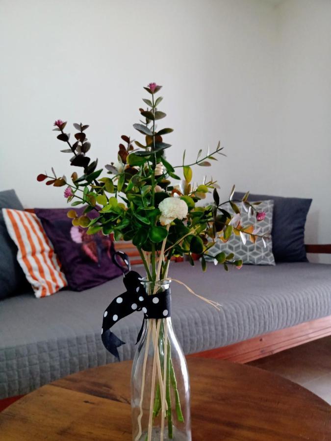 Hibiscus Village Apartment